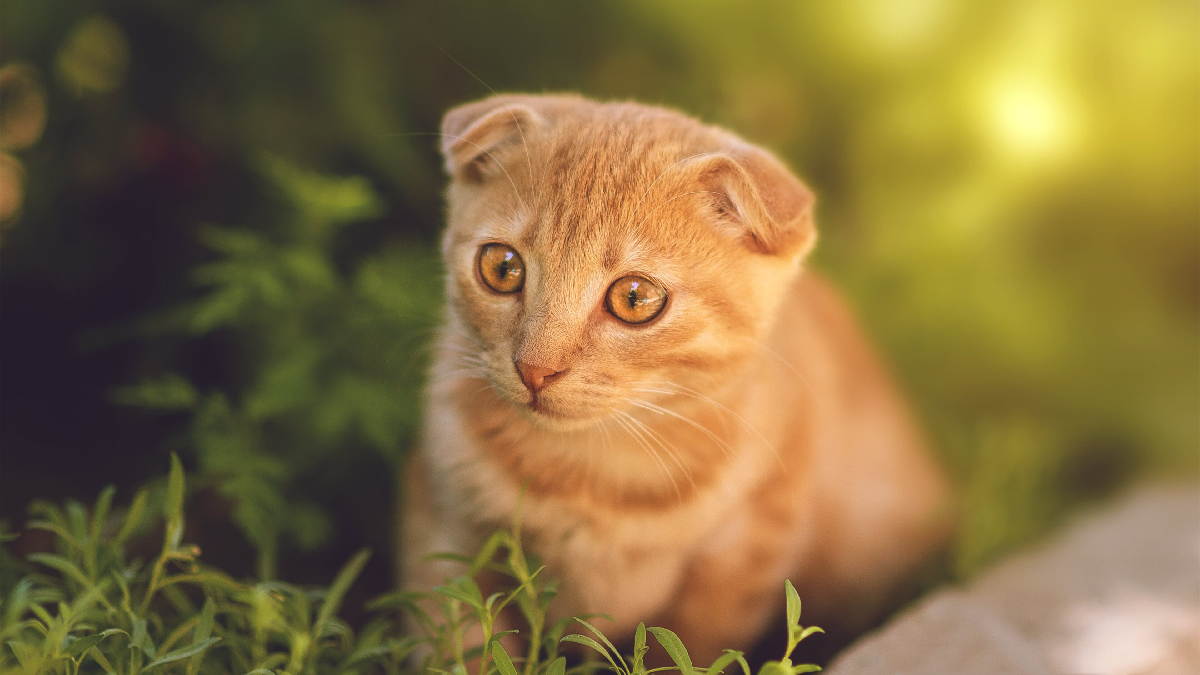 篮坛霸主席卷绿茵？76人‘错频’欧冠半决赛，数据解析浙江队防线危机