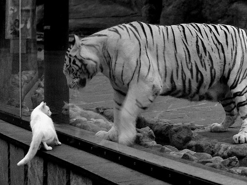 开云体育中国-终场哨响，东决战场与布鲁塞尔的外交罚球