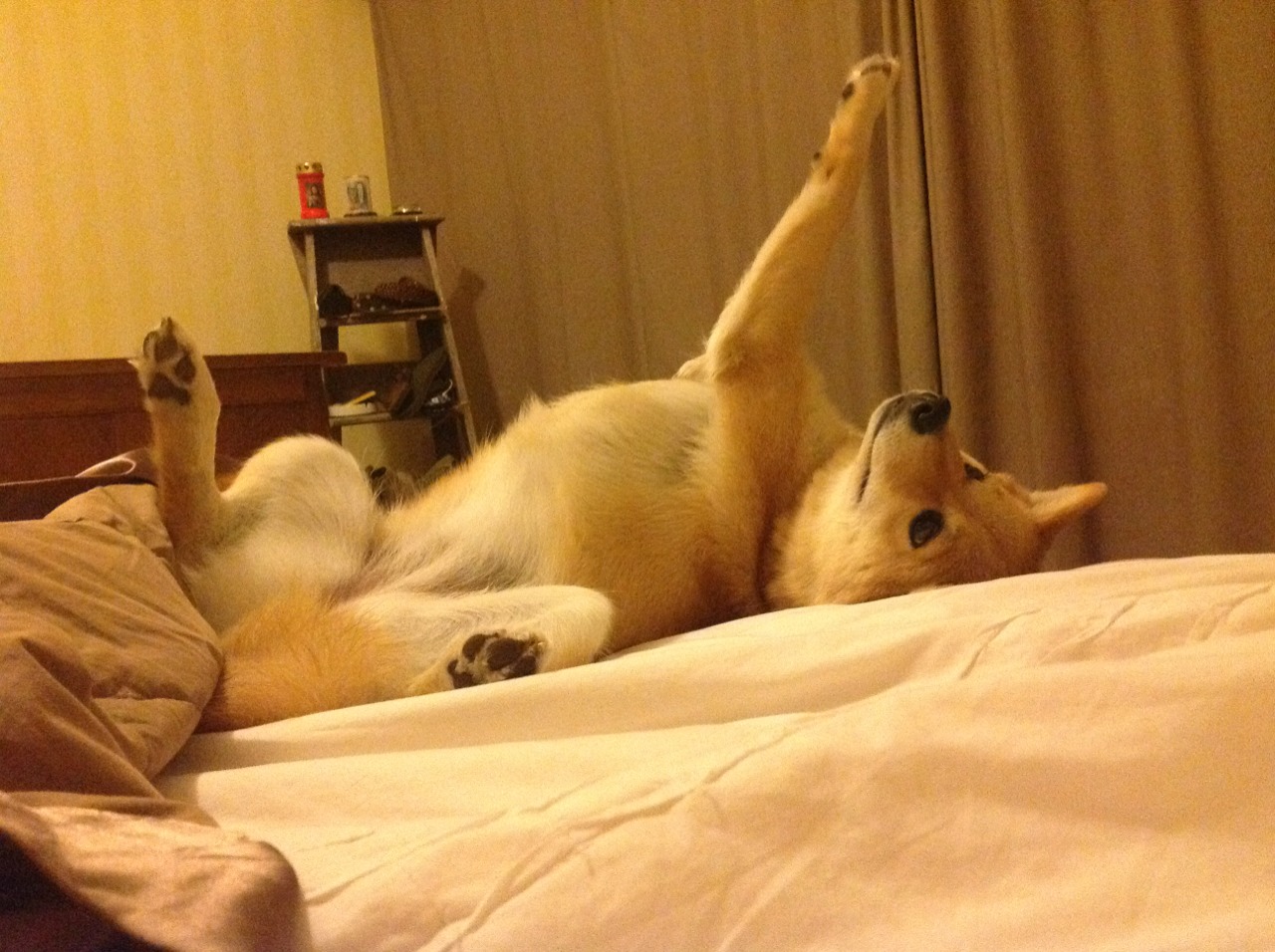 跨界复盘,C罗的技术解剖,如何启示苏格兰防死巴萨