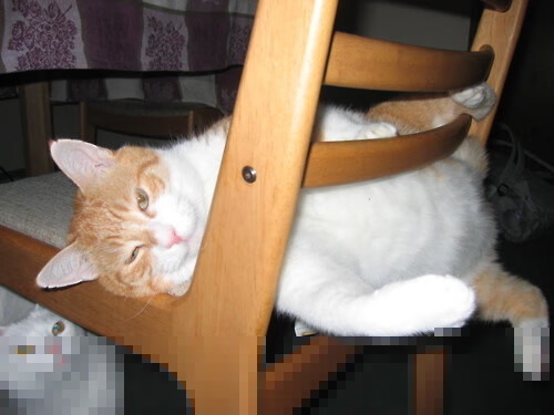 费城神迹！0.9秒绝境重生，76人史诗逆转掀翻尼克斯