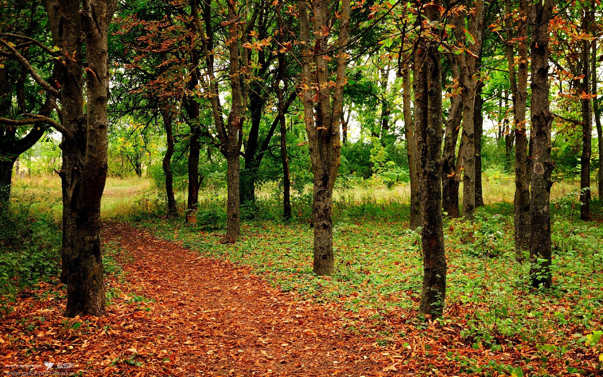 开云体育-当巴黎遇见非洲，贝林厄姆在塞纳河畔编织的足球诗篇
