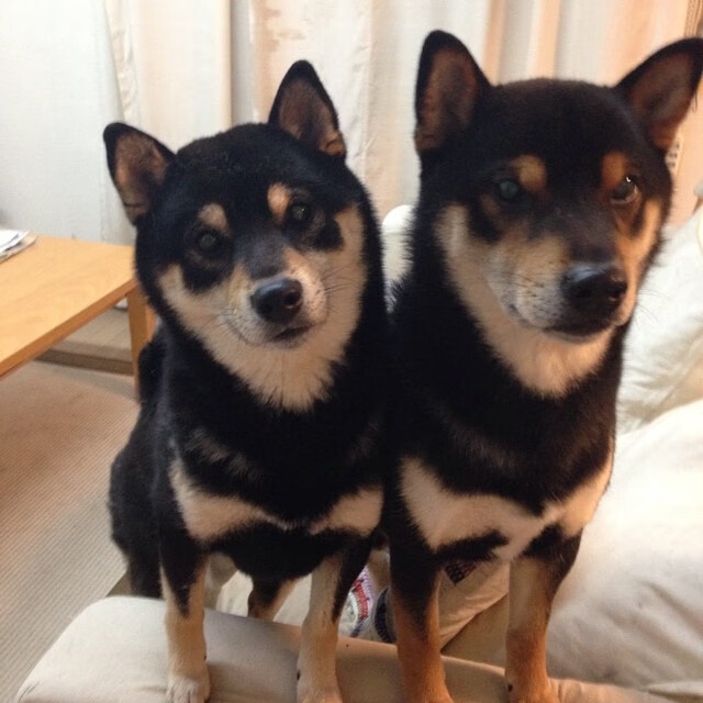 从弃将到掌控者，保罗如何用20分钟创造出逆转国王的尼克斯奇迹