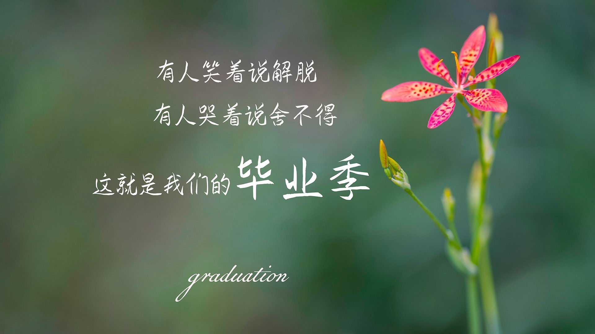 加维手术刀般撕裂，希腊防线筑起特洛伊城墙，一场现代足球的神话演绎