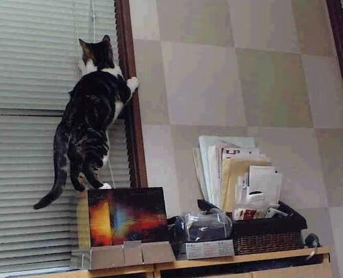 平行宇宙的哨响,当北京队鏖战湖人,伦纳德却在英超决赛戴帽