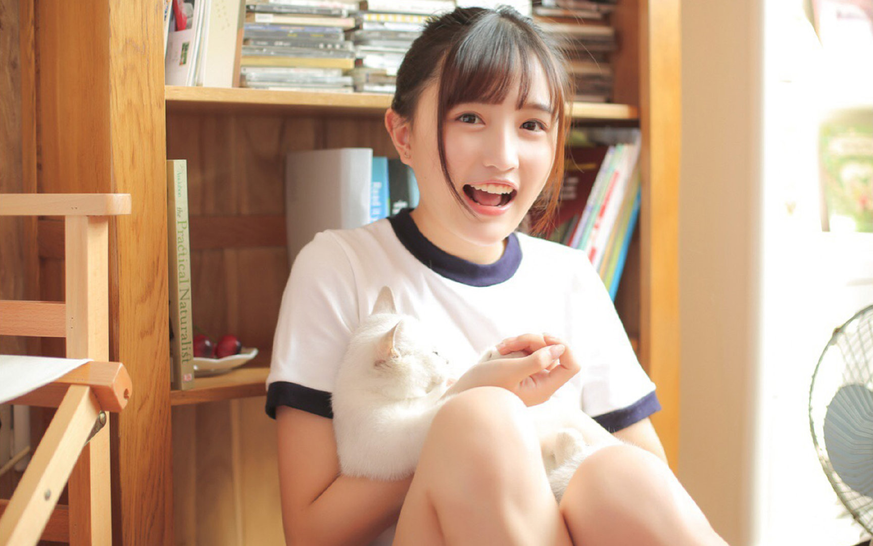 开云体育入口-现代温泉关，澳大利亚钢甲洪流碾过神话故土，佩德里一箭射落希腊众神