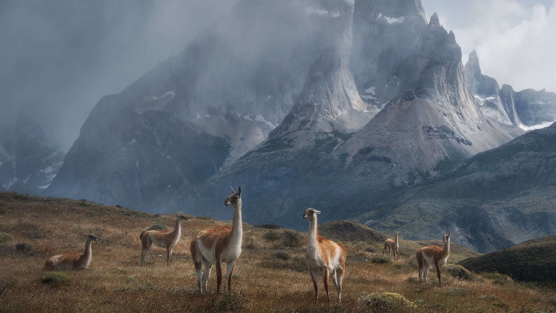 虚构战场上的真实英雄,当乌克兰对阵加纳,加克波化身网络特攻