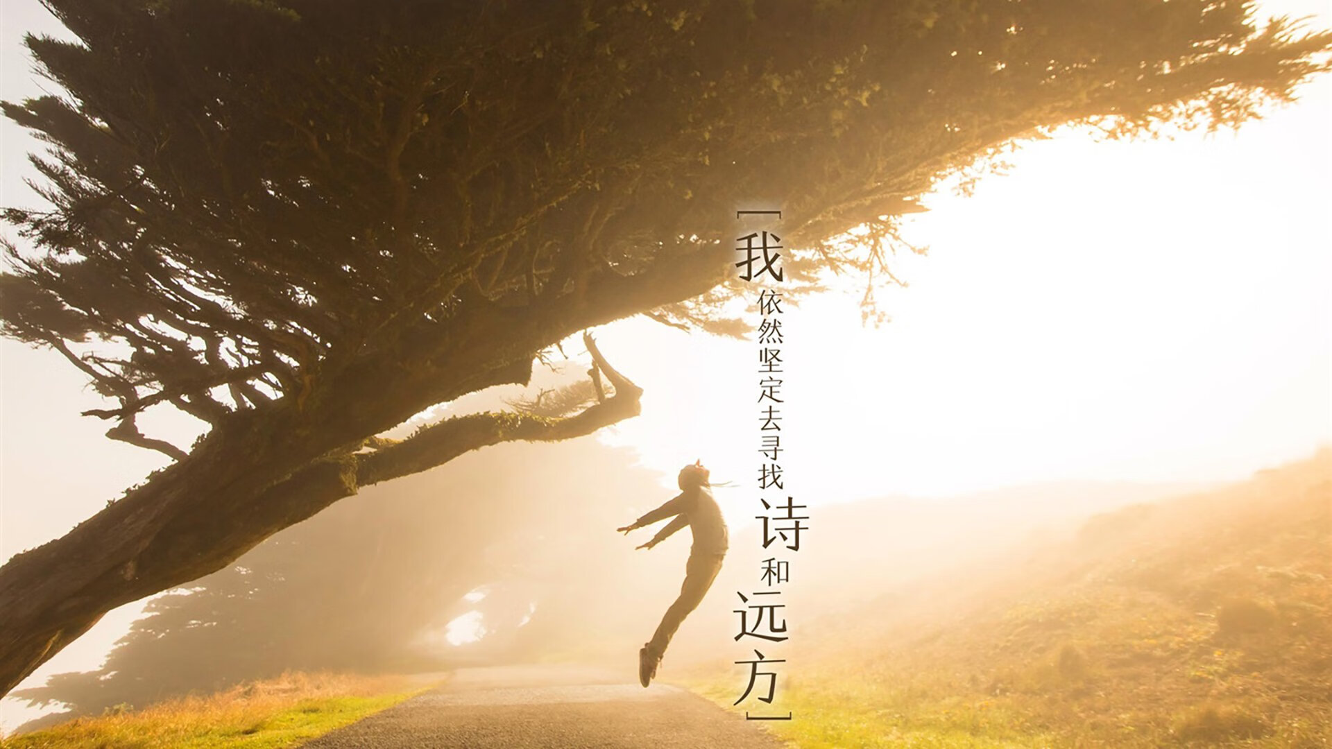 为你构思的标题