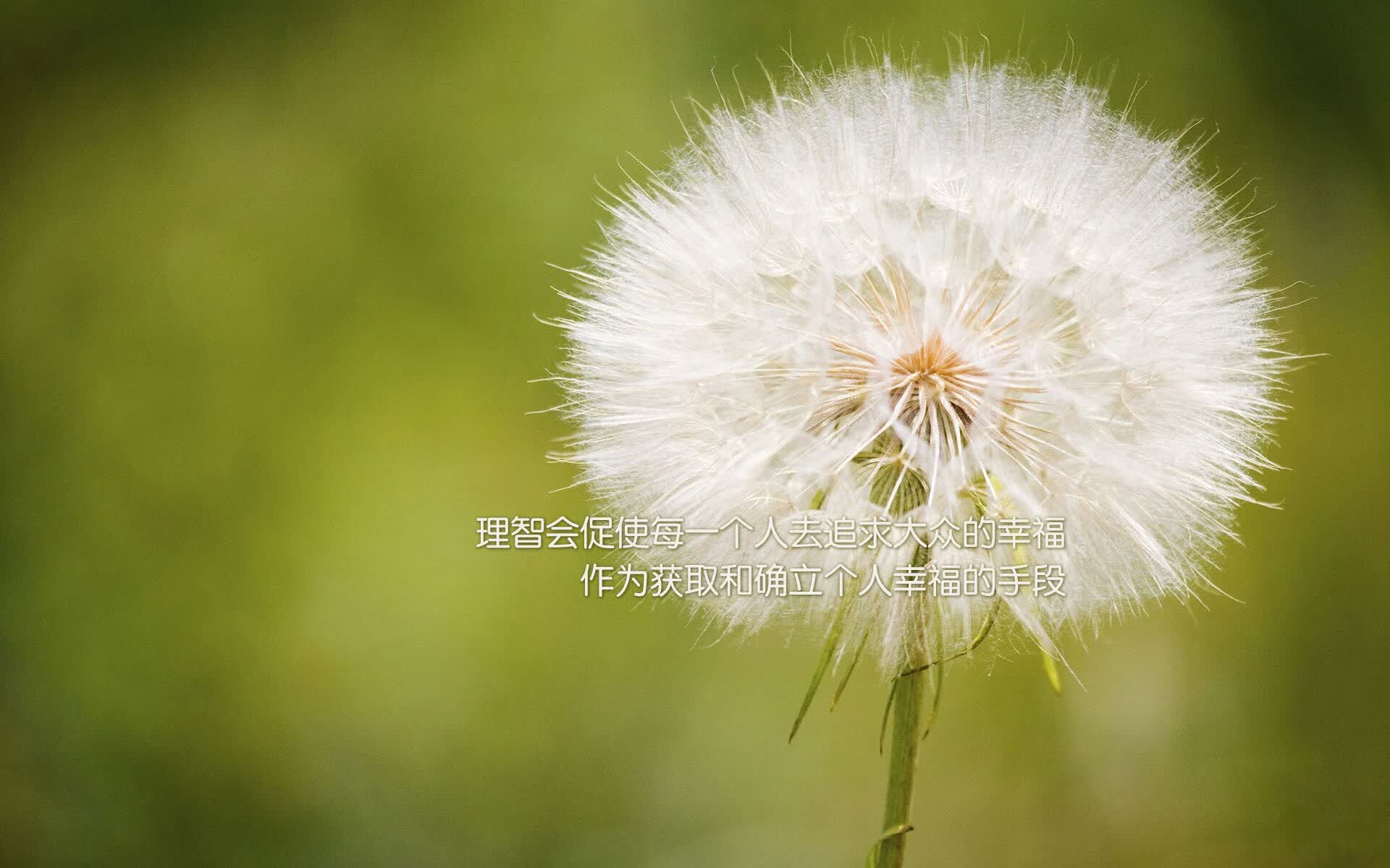 世界杯头号冷门,归化神锋奥斯梅恩两球,厄瓜多尔用最极致的防守反击碾压德国战车