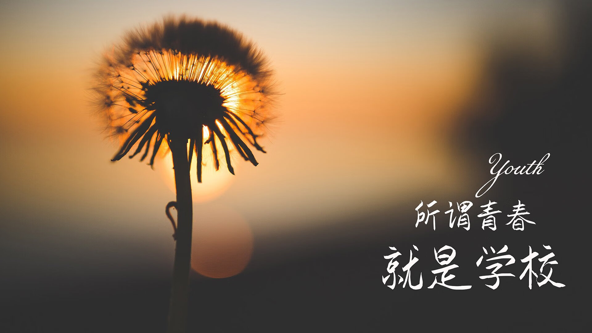 当莱万的灵魂附体葡萄牙,2026世界杯G组焦点战,一场撕裂足球地理的奇幻史诗